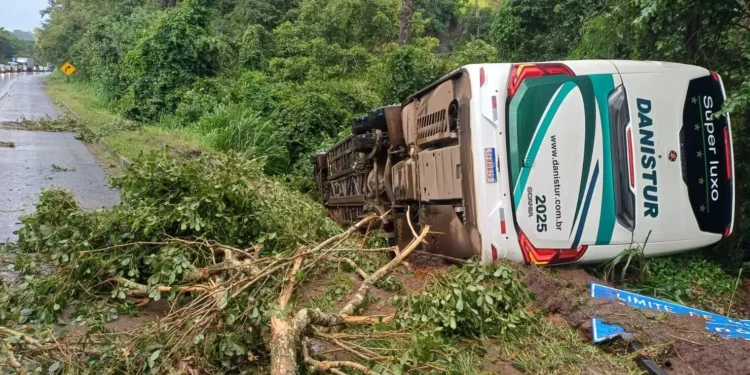 onibus-com-28-ocupantes-tomba-na-br-153-apos-queda-de-arvore-em-pirenopolis