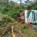 onibus-com-28-ocupantes-tomba-na-br-153-apos-queda-de-arvore-em-pirenopolis