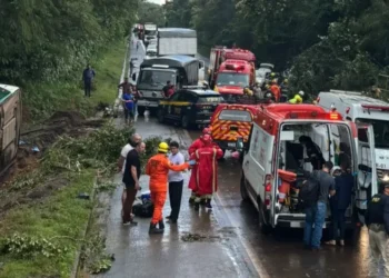 onibus-com-28-passageiros-tomba-apos-sair-da-pista-na-br-153,-em-pirenopolis