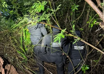 video-mostra-prisao-de-sindico-durante-operacao-da-policia-civil-em-caldas-novas
