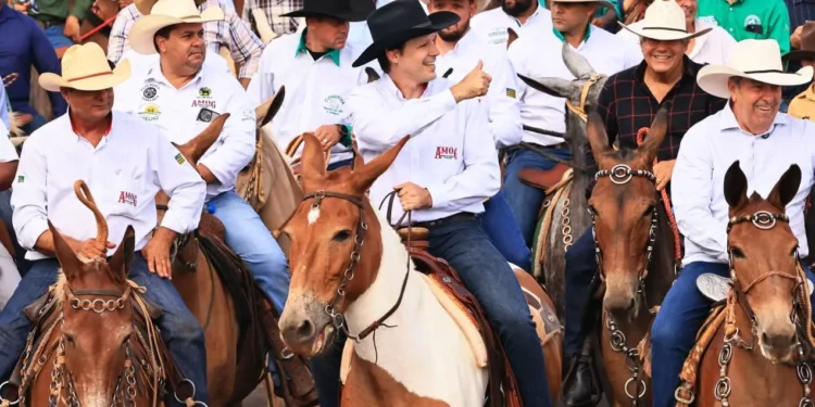 aproximacao-com-agro-tende-a-diminuir-dificuldades-de-daniel-com-o-setor