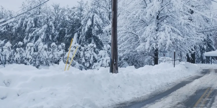 numero-de-mortes-por-onda-de-frio-historica-nos-eua-ja-passam-de-80