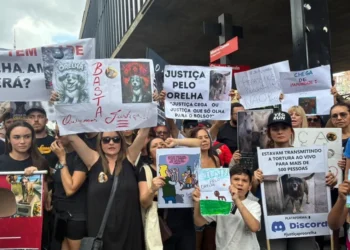 manifestacoes-pelo-cao-orelha-mobilizam-capitais-e-colocam-caso-sob-atencao-nacional