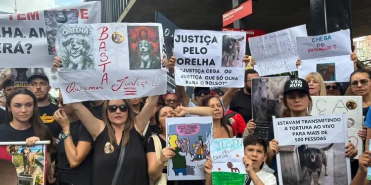 manifestacoes-pelo-cao-orelha-mobilizam-capitais-e-colocam-caso-sob-atencao-nacional