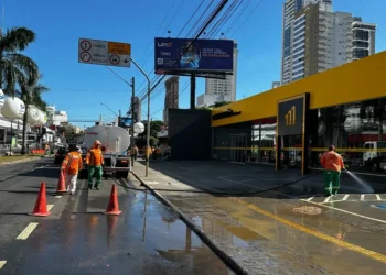pre-carnaval-com-mais-de-40-blocos-mobiliza-operacao-de-limpeza-em-goiania