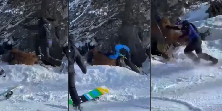 brasileiro-fantasiado-de-chewbacca-e-espancado-por-grupo-em-estacao-de-esqui-na-franca