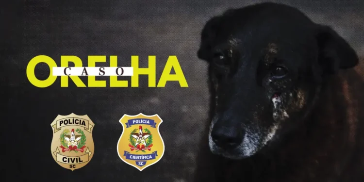 policia-conclui-investigacao-sobre-morte-do-cao-orelha-e-aponta-participacao-de-adolescentes