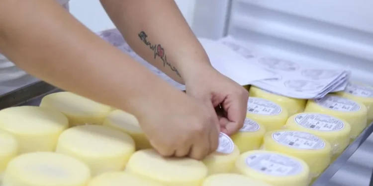 inscricoes-para-projeto-que-apoia-agroindustrias-em-goias-terminam-neste-sabado-(7)