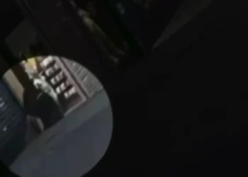 ladrao-que-furtou-joalheria-em-shopping-de-goiania-teve-ajuda-de-funcionario-de-otica,-diz-pm