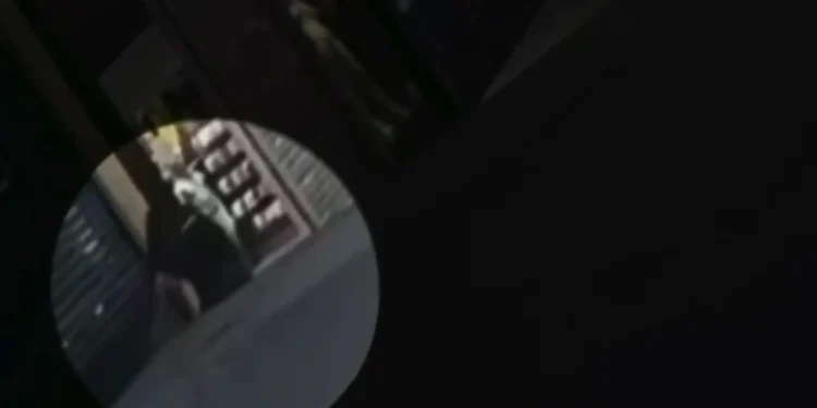 ladrao-que-furtou-joalheria-em-shopping-de-goiania-teve-ajuda-de-funcionario-de-otica,-diz-pm