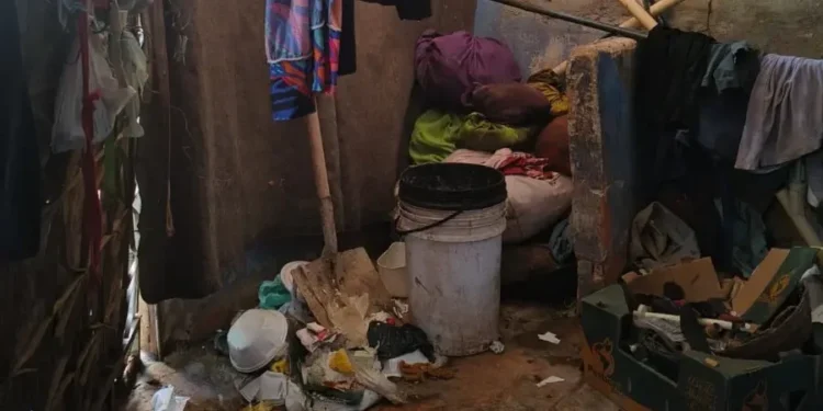 maus-tratos-contra-idosa-levam-a-resgate-em-valparaiso