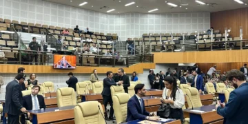 as-expectativas-da-base-e-oposicao-para-o-segundo-ano-de-mabel