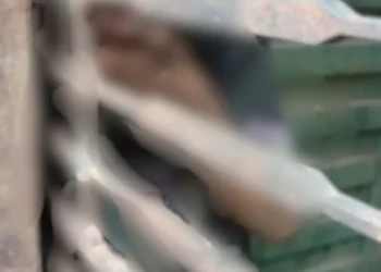 adolescente-de-15-anos-e-resgatado-acorrentado-dentro-de-casa-em-aparecida-de-goiania