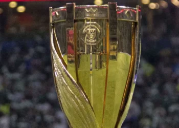 novorizontino-e-palmeiras-disputam-final-do-paulistao