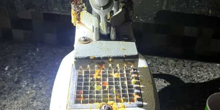 operacao-fecha-sanduicheria-irregular-ligada-ao-crime-organizado-em-aparecida-de-goiania