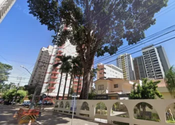 arvore-historica-plantada-em-1958-comeca-a-ser-retirada-no-centro-de-goiania