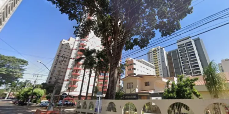 arvore-historica-plantada-em-1958-comeca-a-ser-retirada-no-centro-de-goiania