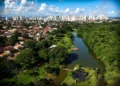 escolha-entre-arvores-e-asfalto-aponta-para-futuro-da-paisagem-urbana-de-goiania