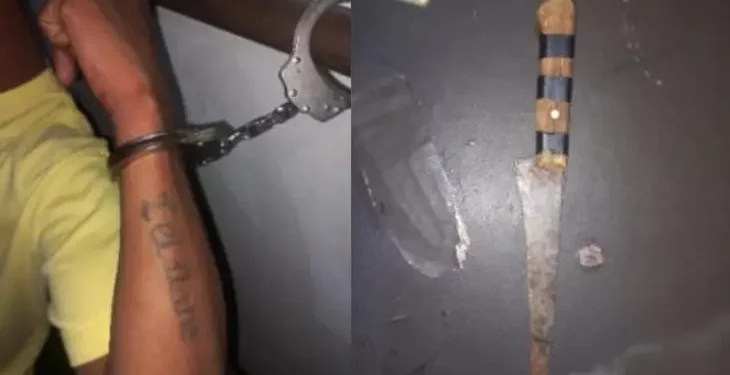 mulher-pede-pizza-por-telefone-e-consegue-denunciar-companheiro-armado-em-rio-verde