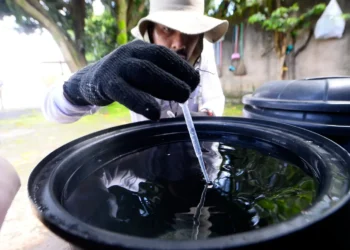 casos-suspeitos-de-dengue-caem-62%-no-df-apos-liberacao-de-milhoes-de-mosquitos-wolbachia