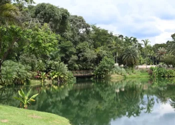 goiania-pode-ganhar-parque-zoobotanico-inspirado-em-inhotim