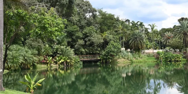 goiania-pode-ganhar-parque-zoobotanico-inspirado-em-inhotim