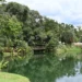goiania-pode-ganhar-parque-zoobotanico-inspirado-em-inhotim