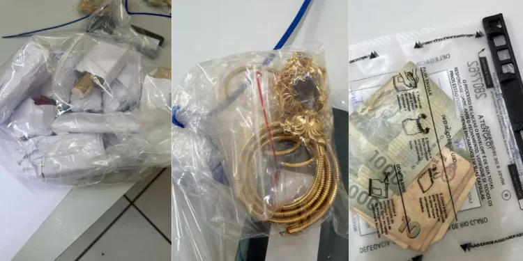 quadrilha-dos-“enzos”-e-desarticulada-apos-furtos-em-apartamentos-de-luxo-em-goiania