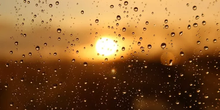 chuva-deve-marcar-a-terca-feira-(24)-em-goiania,-com-trovoadas-ao-longo-do-dia