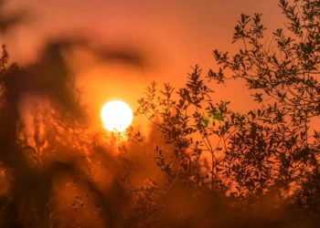 goiania-tera-quarta-feira-(01)-abafada-com-maxima-de-31°c-e-risco-de-chuva-rapida