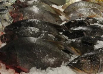alta-procura-na-semana-santa-faz-preco-de-peixes-dispararem-ate-267%-em-goiania