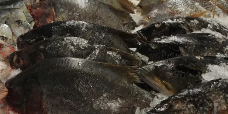 alta-procura-na-semana-santa-faz-preco-de-peixes-dispararem-ate-267%-em-goiania