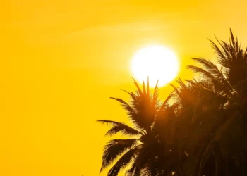 el-nino-deve-intensificar-calor-extremo-no-brasil-nos-proximos-meses