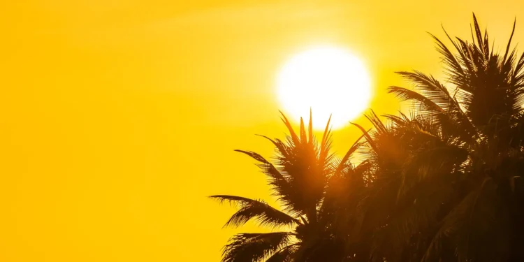 el-nino-deve-intensificar-calor-extremo-no-brasil-nos-proximos-meses