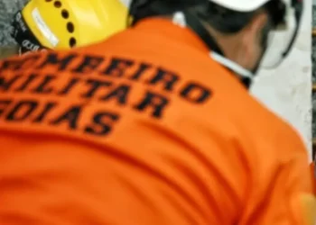 bombeiro-diz-que-atirou-para-assustar-cachorro-e-acaba-matando-animal-em-goiania