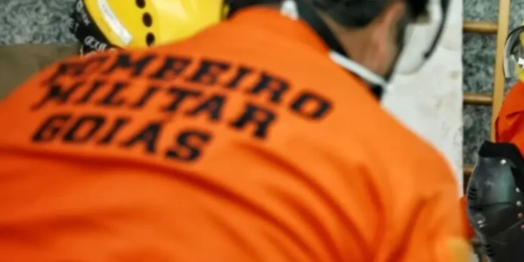 bombeiro-diz-que-atirou-para-assustar-cachorro-e-acaba-matando-animal-em-goiania