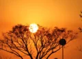 calor-segue-em-goiania-e-chuva-pode-voltar-a-noite-nesta-quarta-feira-(08)