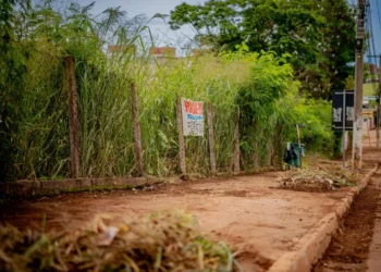 prazo-para-limpar-lotes-em-anapolis-termina-domingo-(12)-e-multa-chega-a-50%-do-iptu