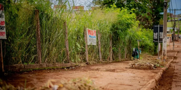 prazo-para-limpar-lotes-em-anapolis-termina-domingo-(12)-e-multa-chega-a-50%-do-iptu