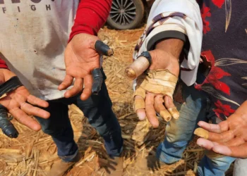 goias-e-o-6o-estado-com-mais-novos-nomes-na-“lista-suja”-do-trabalho-escravo-em-2026