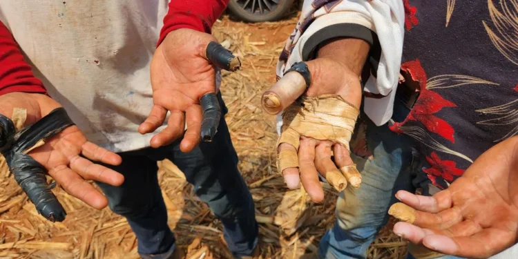 goias-e-o-6o-estado-com-mais-novos-nomes-na-“lista-suja”-do-trabalho-escravo-em-2026