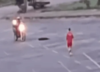 bombeiro-que-matou-cachorro-a-tiros-em-goiania-agiu-em-“estado-de-necessidade”,-diz-defesa