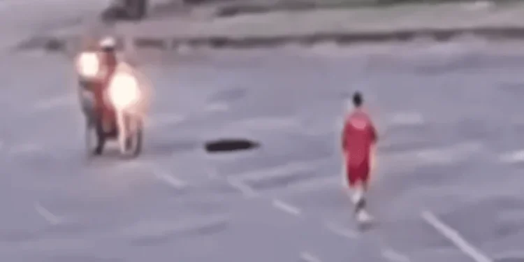 bombeiro-que-matou-cachorro-a-tiros-em-goiania-agiu-em-“estado-de-necessidade”,-diz-defesa