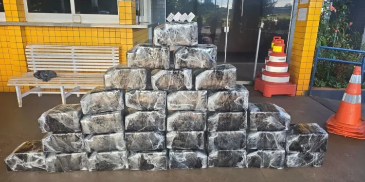 prf-apreende-352-kg-de-cocaina-e-anfetaminas-na-br-060,-em-jatai