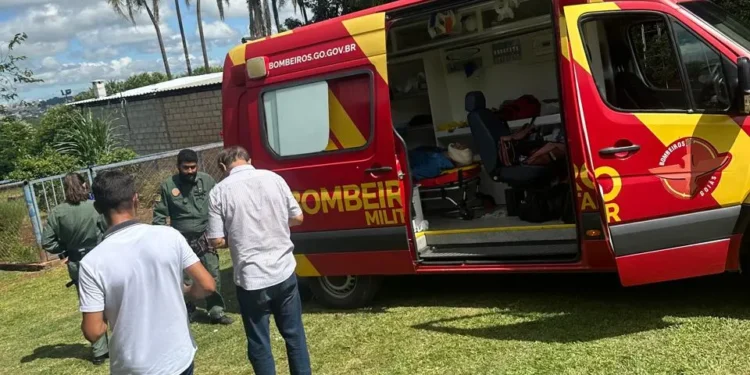 tres-vitimas-sao-resgatadas-apos-queda-de-aeronave-em-trindade