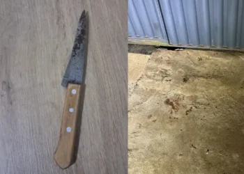 filha-esfaqueia-o-proprio-pai-apos-discussao-em-aparecida-de-goiania