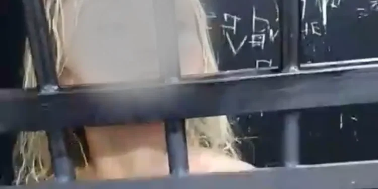 suspeita-de-injuria-racial,-ameacas-e-desacato-e-presa-no-mercado-da-vila-nova,-em-goiania