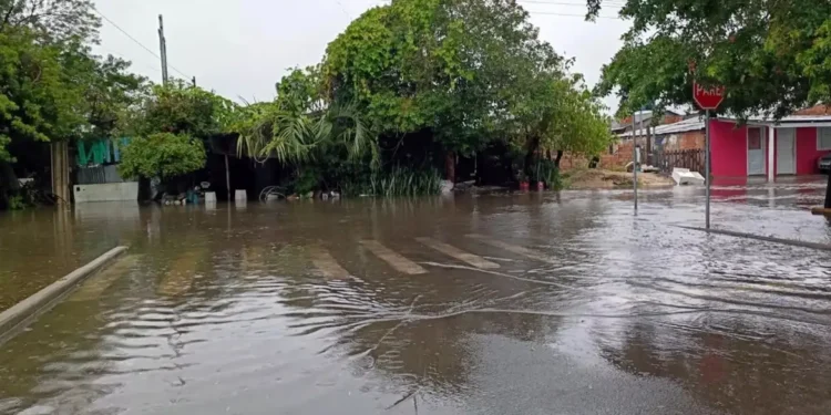 temporal-no-rs-deixa-desalojados-e-provoca-danos-em-19-cidades
