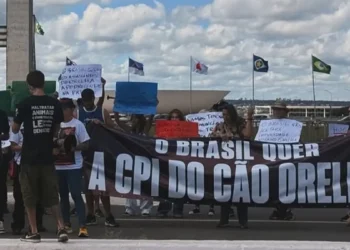 cruz-com-nomes-de-caes-marca-ato-por-cpi-do-caso-orelha