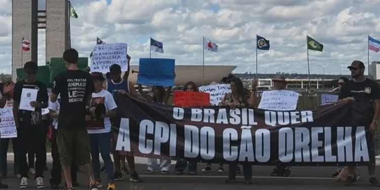 cruz-com-nomes-de-caes-marca-ato-por-cpi-do-caso-orelha